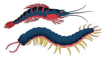 Diverse Aquatic Arthropods A Glimpse into the World of Water Living Creatures vector