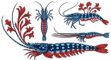 Artistic Crustacean Collection Decorative Illustration of Shrimp and Prawns for Seafood Design Projects vector
