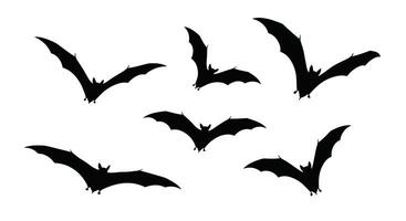 Exploring the World of Bats From the Deep Cave Through the Night Sky vector
