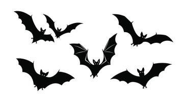 The Significance of Bats in Ecology Habitat Roosting Hibernation and their Benefits vector