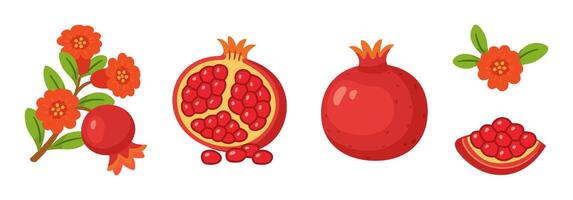 Pomegranate set, whole and half fruits with seeds, branches, green leaves, pomegranate flowers. flat style, isolated icons. For digital and print projects, packaging, greeting cards, posters vector