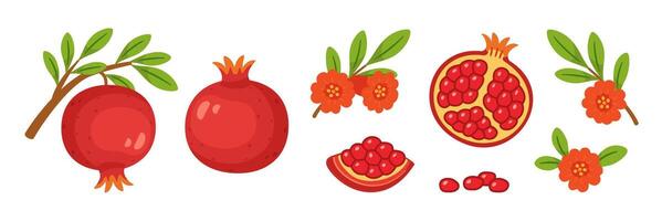 Pomegranate set, whole and half fruits with seeds, branches, green leaves, pomegranate flowers. flat style, isolated icons. For digital and print projects, packaging, botanical posters vector