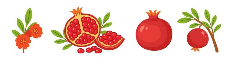 Pomegranate set, whole and half fruits with seeds, branches, green leaves, pomegranate flowers. flat style, isolated icons. For digital and print projects, packaging, greeting cards, botanical posters vector