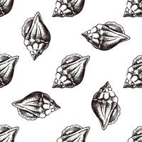 Hand drawn vintage seamless pattern of pointed conch seashell in brown ink engraving style, coastal sketch illustration vector