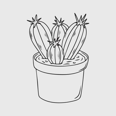 San Pedro Succulent in a Pot handdrawn line art