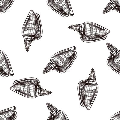 Hand drawn vintage seamless pattern of cone shaped seashell in brown ink engraving style, ocean sketch illustration