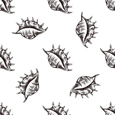 Hand drawn vintage seamless pattern of elongated spiny seashell in brown ink engraving style, ocean sketch illustration