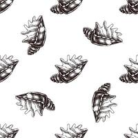 Hand drawn vintage seamless pattern of spiked seashell in brown ink engraving style, exotic marine sketch illustration vector