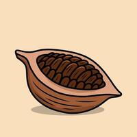 Cut Open Cocoa Pod Showing Seeds vector