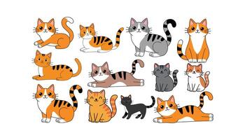 Animal pet cat playful, sleeping and scared. Cat body language set, illustration isolated on white background. vector