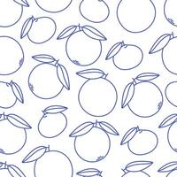 Seamless pattern with cute outline oranges and tangerines. Doodle fruits print for banner, wallpaper, textile, wrapping paper, background, cards vector