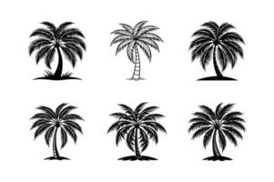 Palm trees design elements icon silhouette set white background vector