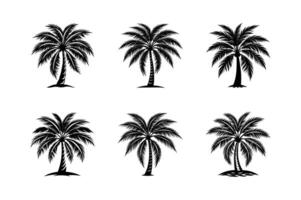 Black Palm Trees Set Isolated On White Background. vector