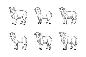 set of line icon of sheep design white white background vector