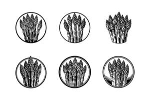 asparagus icon silhouette set design illustration with white background vector