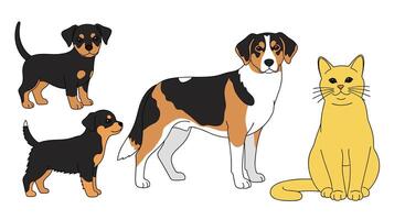 Dogs of Different Ages and Breeds Together with a Yellow Cat in a Room vector