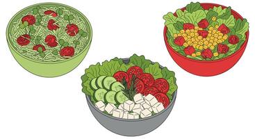 The Complete Guide to Creating Delicious and Nutritious Salads For Everyday Life vector