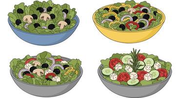 Delicious Garden Salad Ideas An Array of Colors and Textures in One Bowl vector