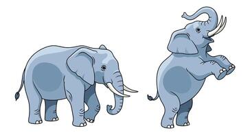Two Grey Elephants Pictured One Standing On Two Legs One Walking Ahead vector