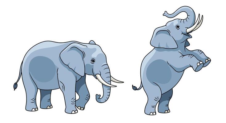 Two Grey Elephants Pictured One Standing On Two Legs One Walking Ahead
