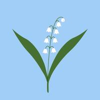 Lily of the valley. White spring flowers on blue background. Flat illustration. vector