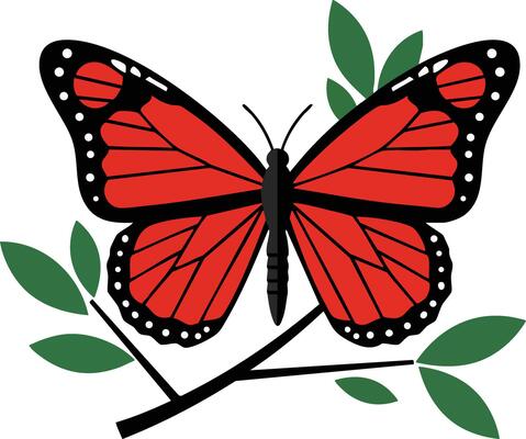 Red and black butterfly resting on green leaves branch illustration with natural colors and simple design
