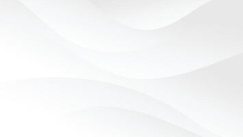 abstract white background with curve and swirl lines decoration vector