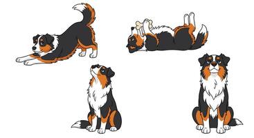 A set of four different dog poses vector