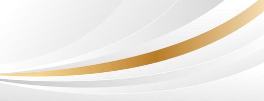 Minimalist abstract white-gray luxury curve background vector