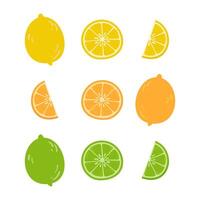 Whole and sliced citrus fruits including lemon, orange, and lime in flat colorful style vector