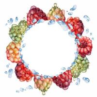Raspberry berries wreath flying with water splash, dew drops hand drawn in watercolor. Ripe garden dewberry cloudberry mulberry tayberry. Isolated circle frame. Fresh grocery, home preserves cookbook vector