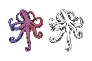 Hand drawn vintage illustration of octopus with extended tentacles in purple red color and ink sketch version vector
