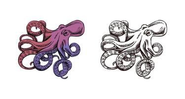 Hand drawn vintage sketch of octopus with curled tentacles in ink and purple red color, set illustration vector
