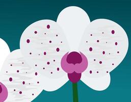 Blooming orchid in soft colors. Flower in pastel colors in flat design style. vector