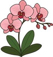 Floral Decor Element for Design Projects vector