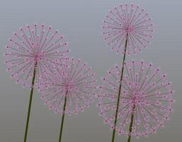 Illustration of dandelions on a gradient background. Abstract floral design suitable for greeting cards. vector