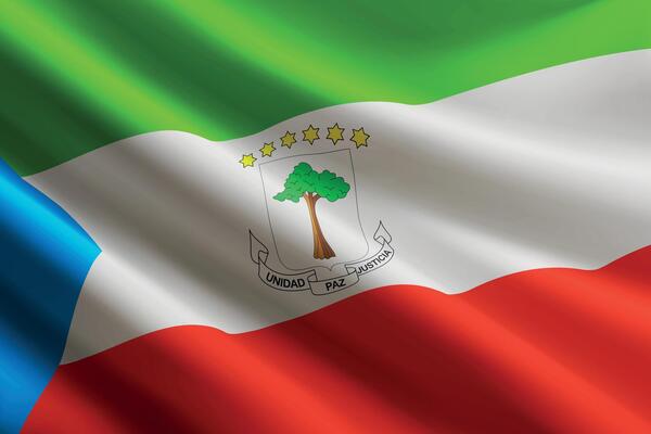 Equatorial Guinea flag waving in the wind, detailed silk texture
