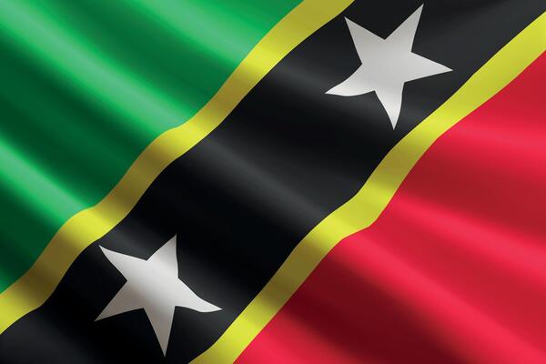 Saint Kitts and Nevis flag waving in the wind, detailed silk texture