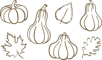 autumn harvest outline illustrations set of fall pumpkins and leaves simple seasonal graphic elements for decorative designs vector