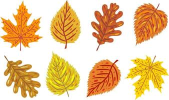 autumn leaves set with abstract patterns colorful fall foliage elements web design posters decoration hand drawn style collection isolated digital art vector
