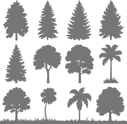 Twelve Gray Tree Silhouettes Collection Various Types Coniferous Deciduous Palm Trees Nature Graphic Design Elements