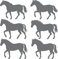 Six Grey Horse Silhouettes Various Poses Side Profile Equine Animals Farm Animals Gray Color Palette Simple Design Graphic vector