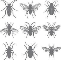Nine Gray Insect Silhouettes Collection Detailed Drawings of Various Bugs Beetles Flies and Wasps Top View Illustrations vector