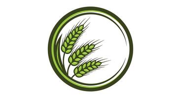 Sustainable Farming Practices Improving Soil Health and Reducing Environmental Impact and Biodiversity Loss vector
