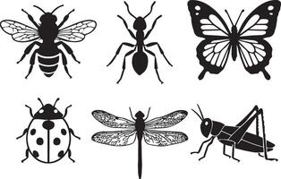 Insect Set Ant, Bee, Butterfly, Ladybug and More vector
