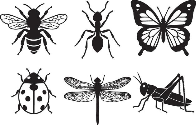 Insect Set Ant, Bee, Butterfly, Ladybug and More