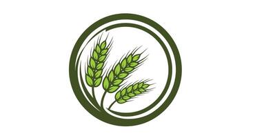 Cultivating Wellness A Comprehensive Guide to Holistic Health and Sustainable Agricultural Practices vector