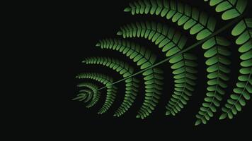 Abstract tropical leaf background featuring green leaves in a spiral pattern on a dark backdrop for nature themes vector