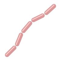 Bacteria forming a chain under microscope view showcasing rod-shaped organisms in a biological study environment, sausages vector