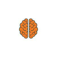 Brain Anatomy and Function vector